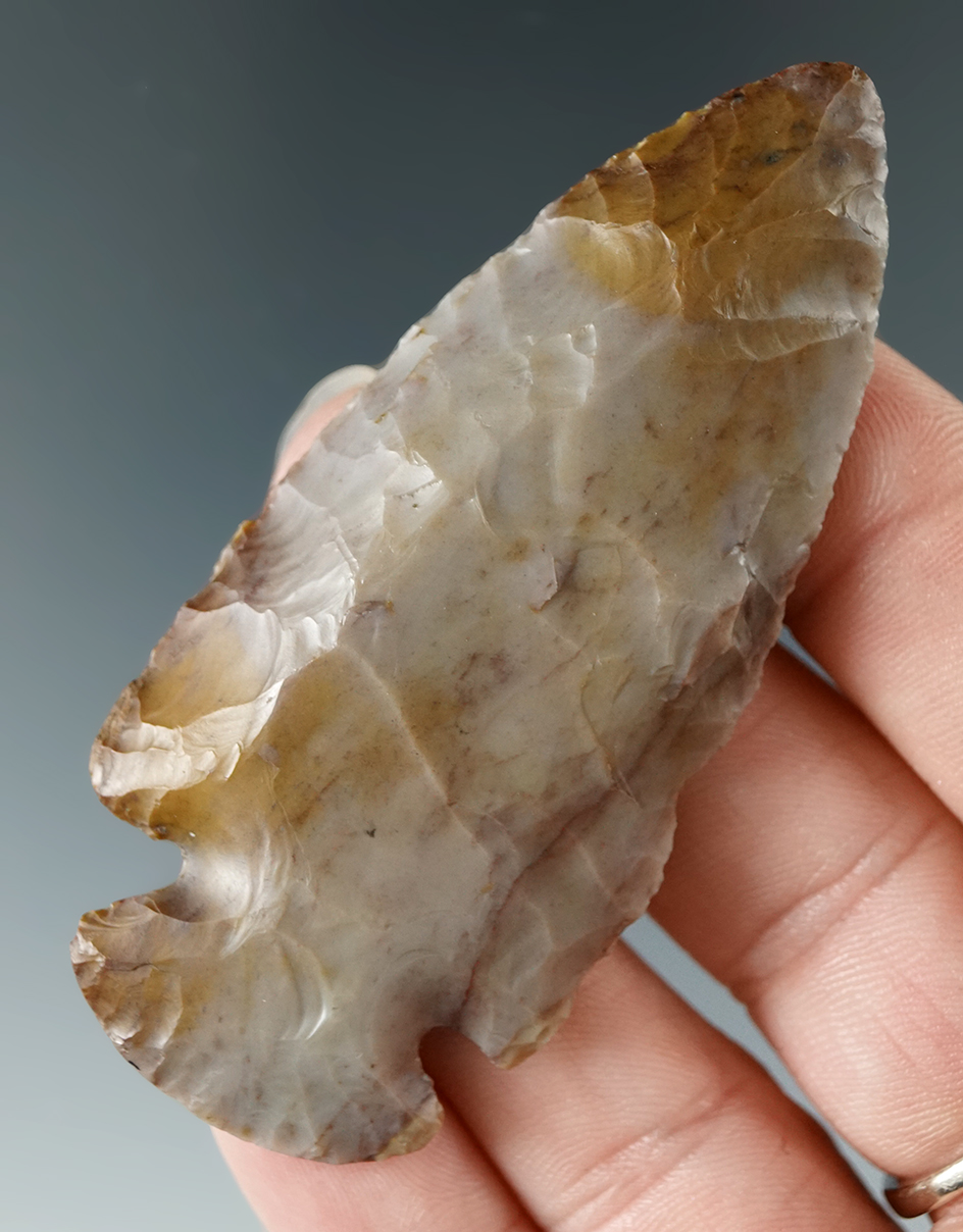 2 3/4" highly colored purple and yellow Archaic Dovetail found in Coshocton Co., Ohio.