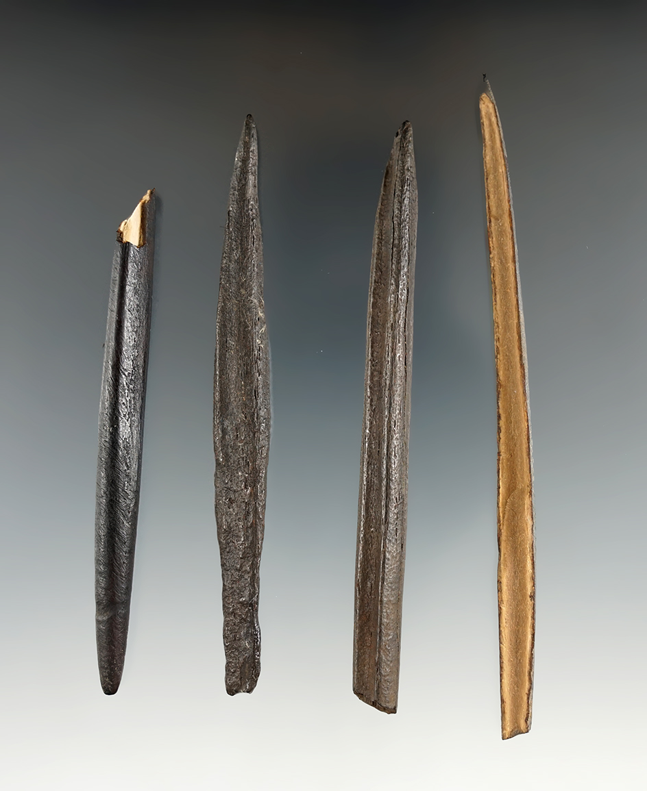 Set of four River polished bone projectile points/Awls found in Florida. Largest is 4 3/8".
