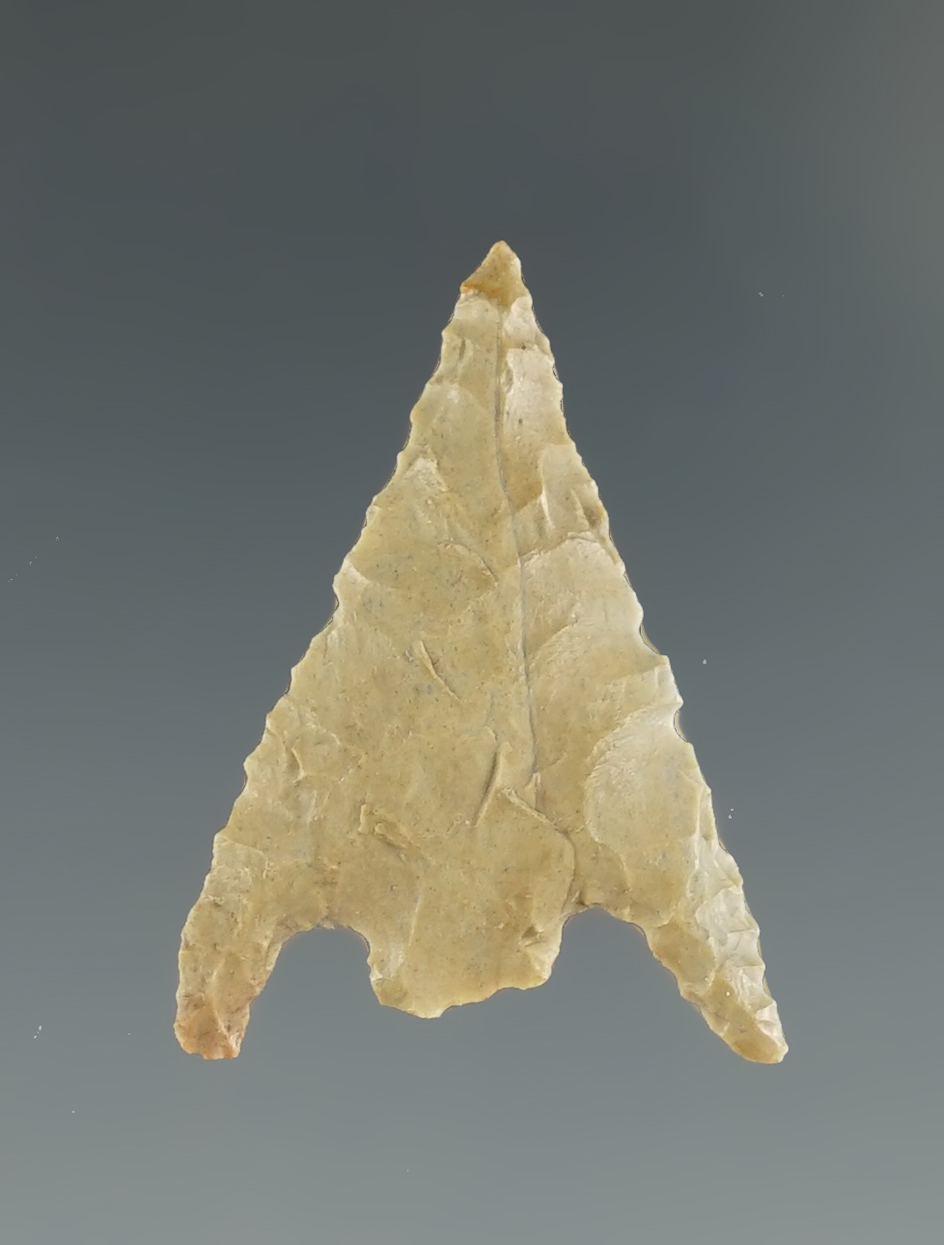 Main artifact image