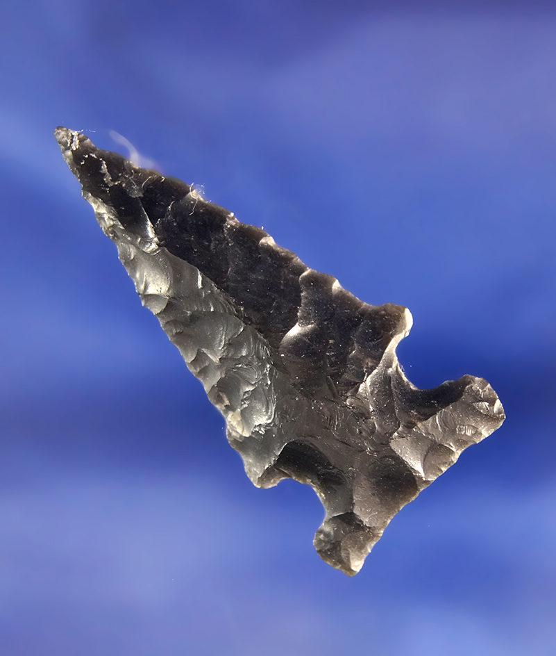 2 15/16" Obsidian side Notch bevel found near Fort Rock Oregon in excellent condition.