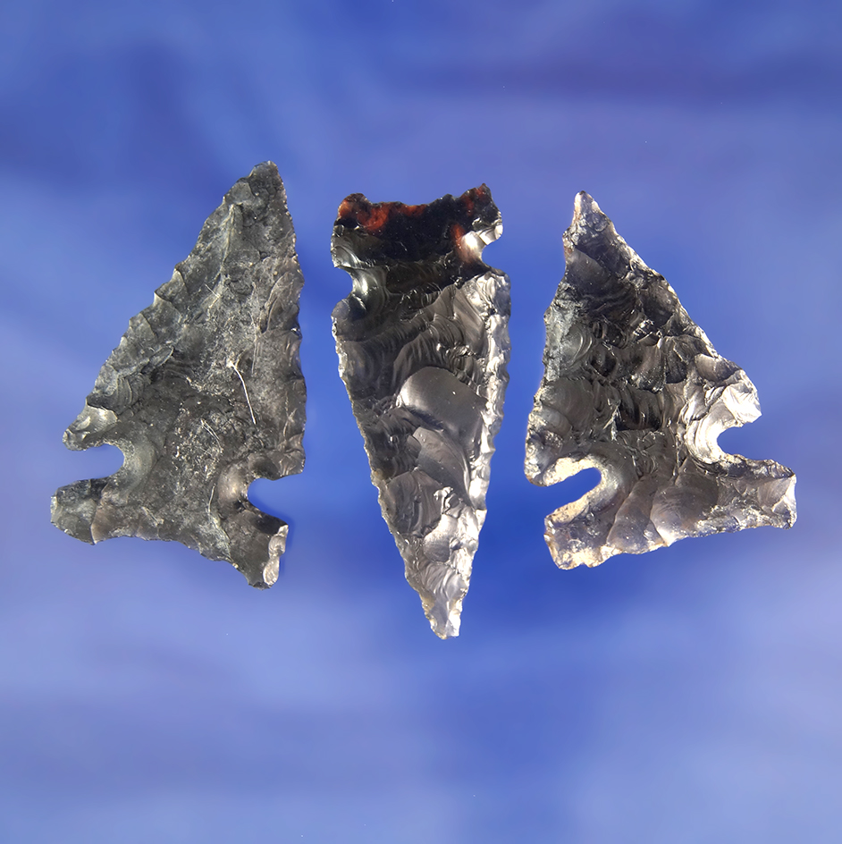 Set of three very nice Obsidian arrowheads found near Fort Rock Oregon, largest is 1 5/8".