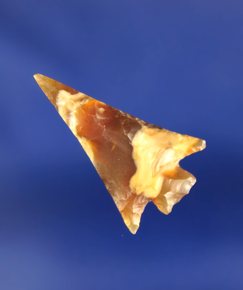 15/16" Gempoint made from Agatized Wood that is semi translucent - Columbia River.