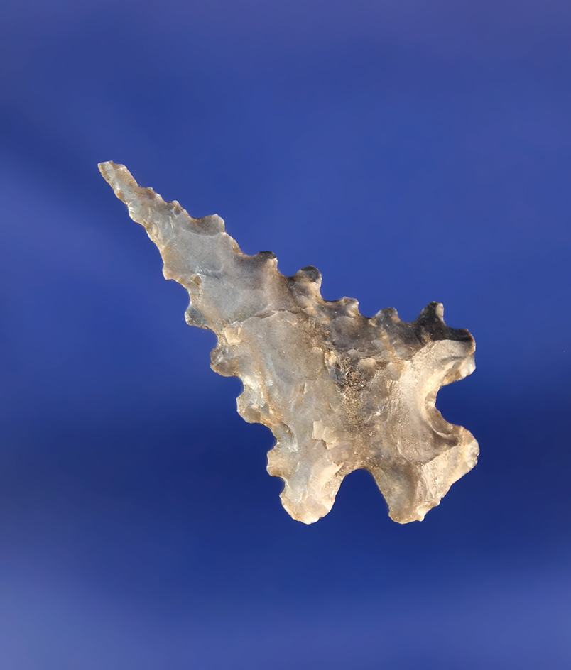 Main artifact image