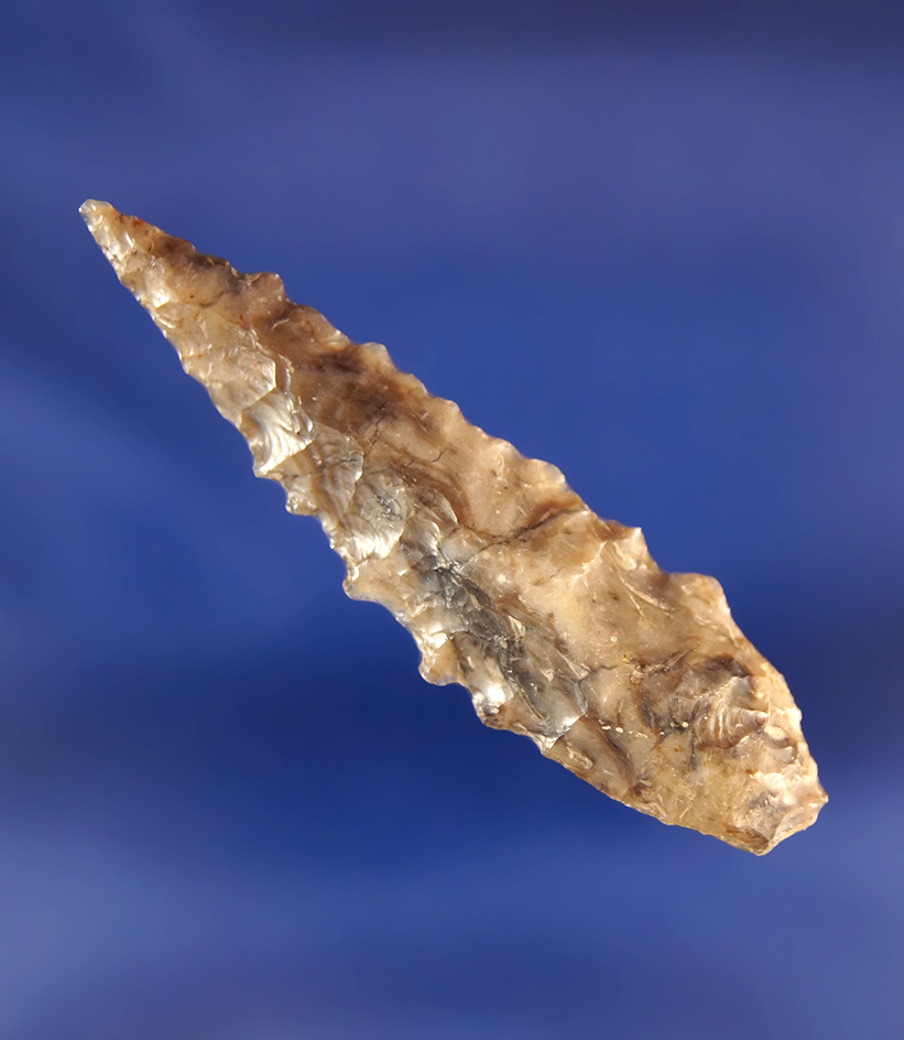 2" Coquille - nicely mottled material found near the Columbia River. Nice edge serrations.