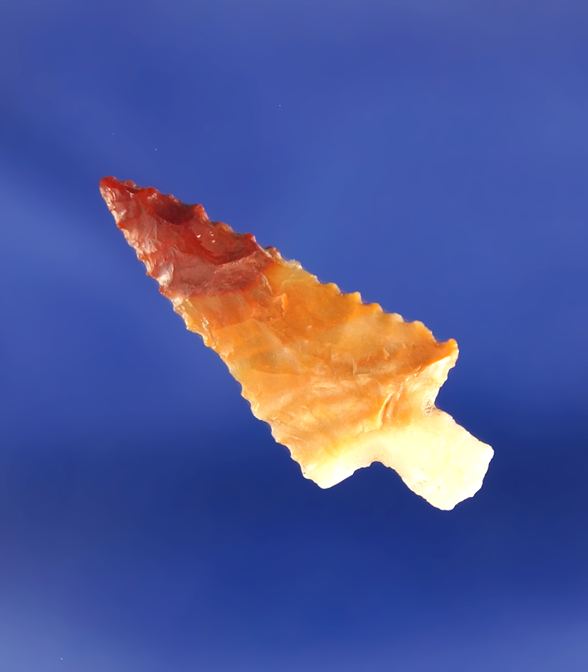 1 1/16" Wallula Gap made from attractive multi-colored Flint found in Oregon. Nice flaking.