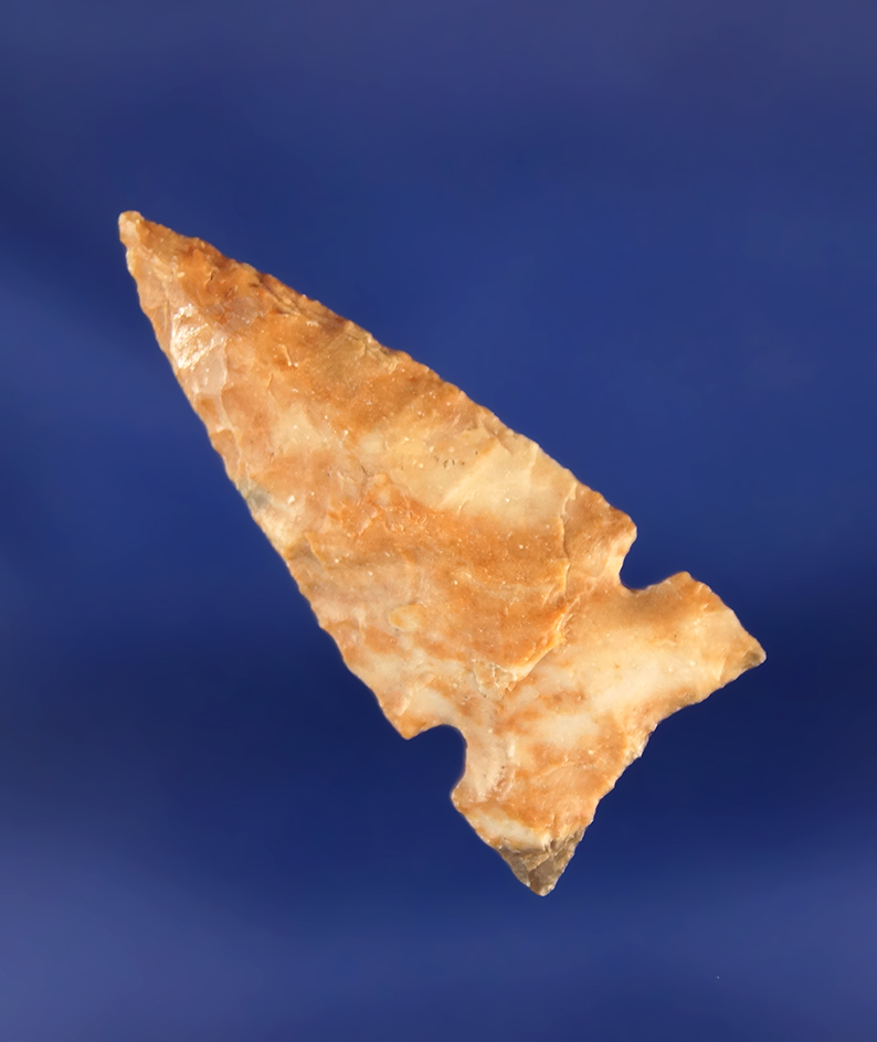 1 5/16" Desert Delta that is nicely styled found near the Columbia River by Norma Berg.