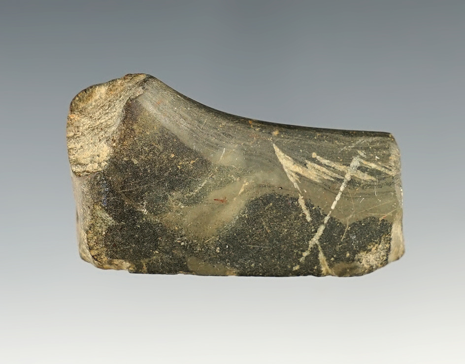 Main artifact image
