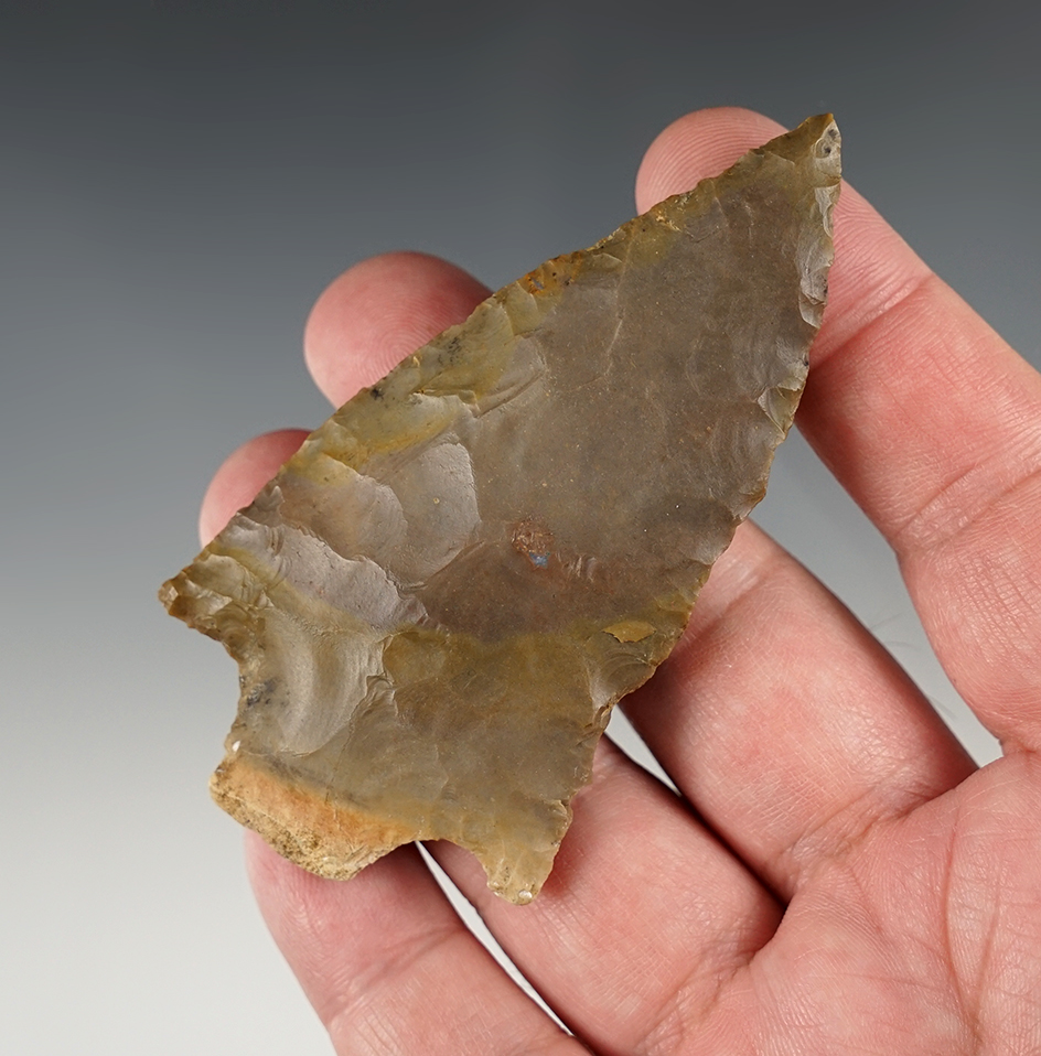 Main artifact image