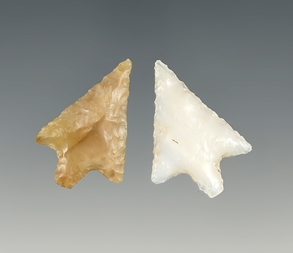 Pair of Wallulas found by Dave Elmer - Oregon.