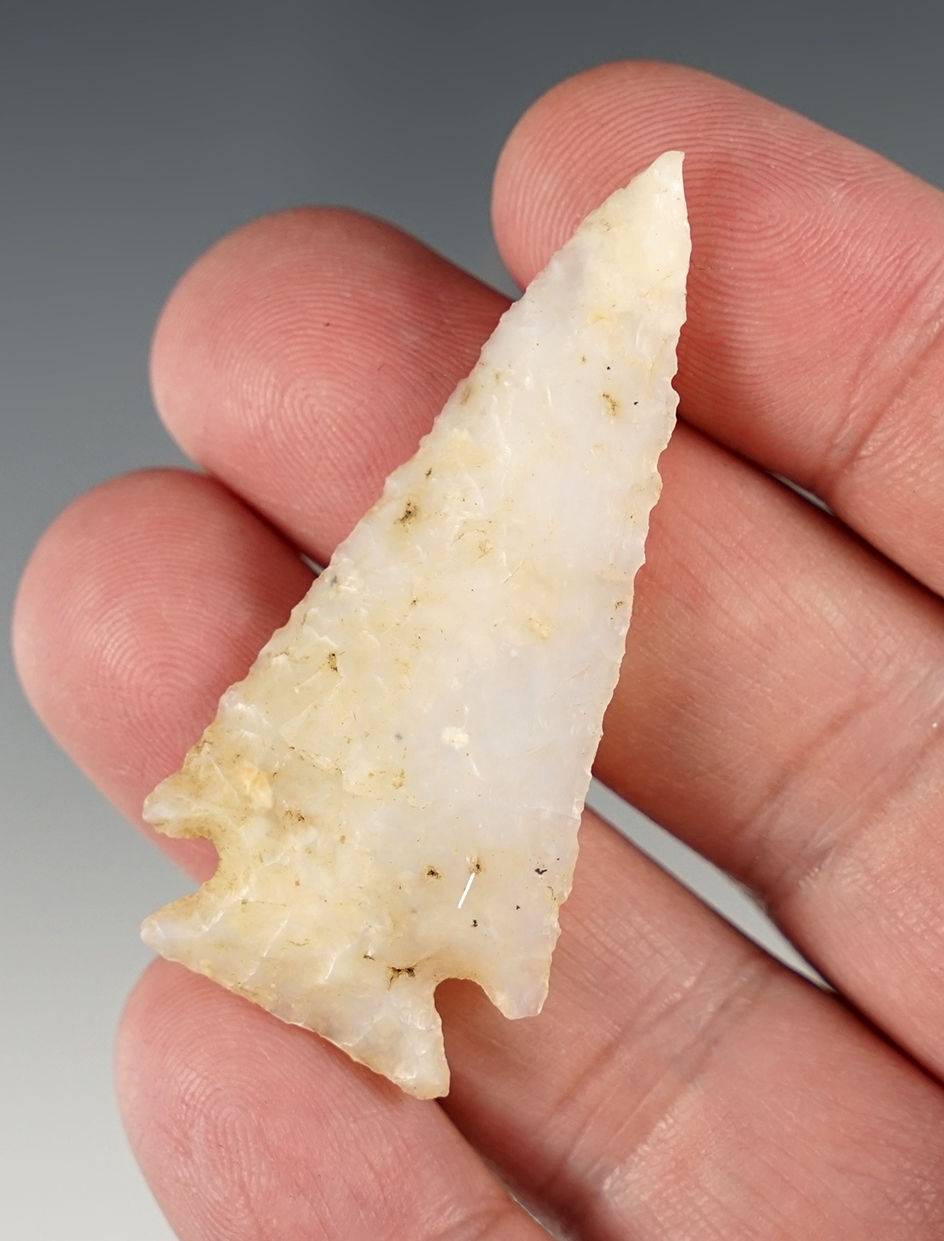 Exceptional! 2 3/16" Elko Corner Notch - Oregon.