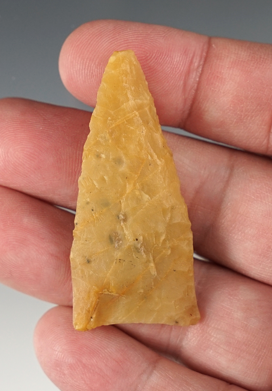 Main artifact image