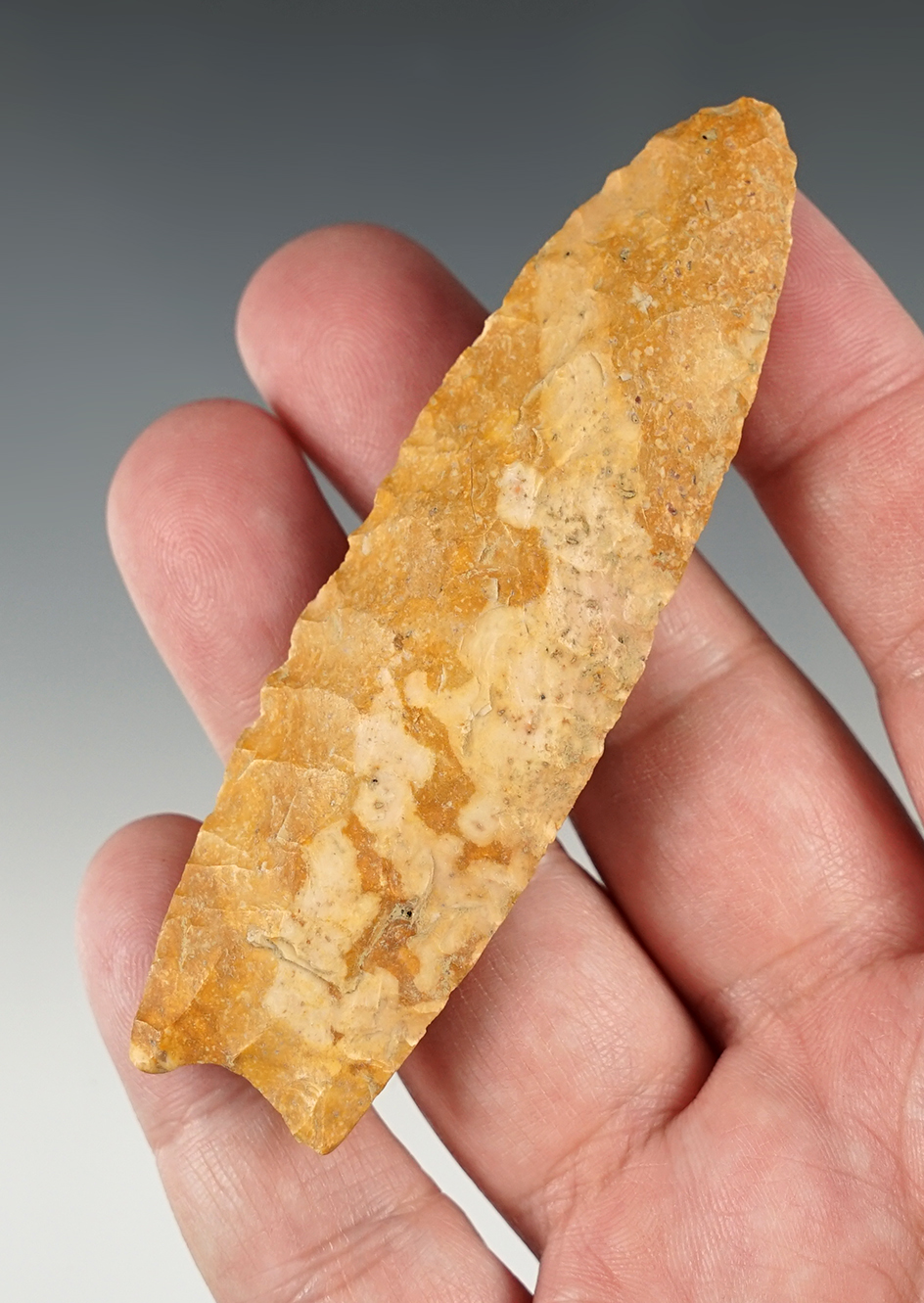 Main artifact image