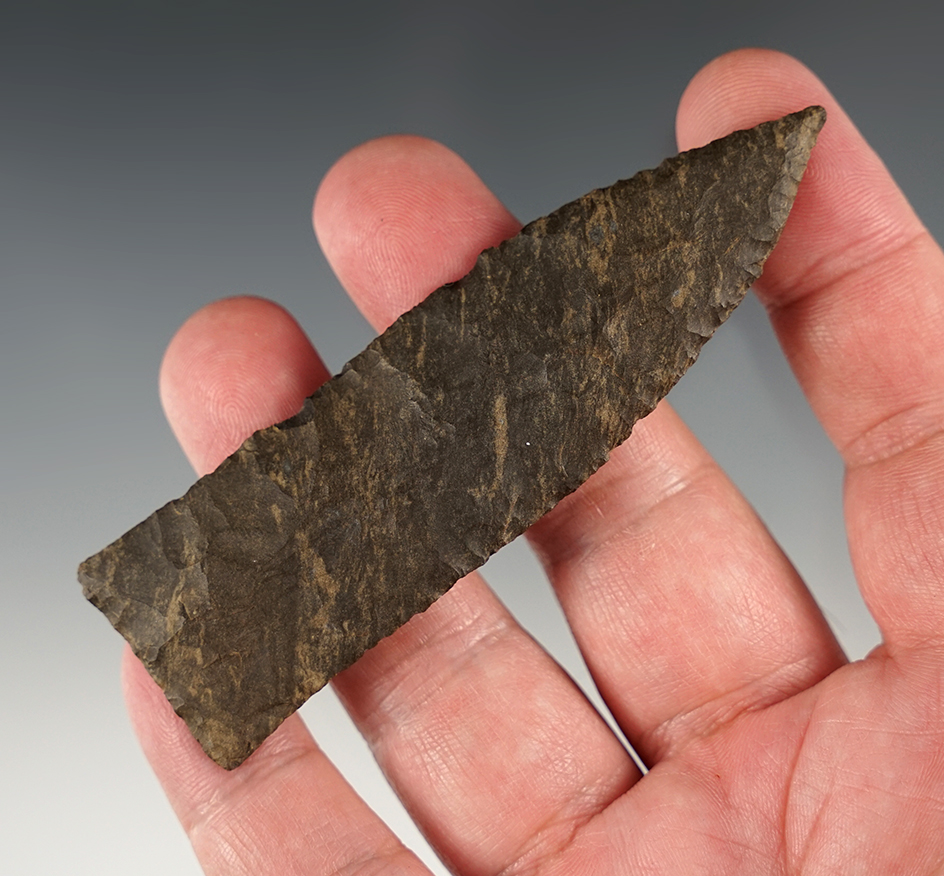 Exceptional 3 11/16" Tennessee Copena.