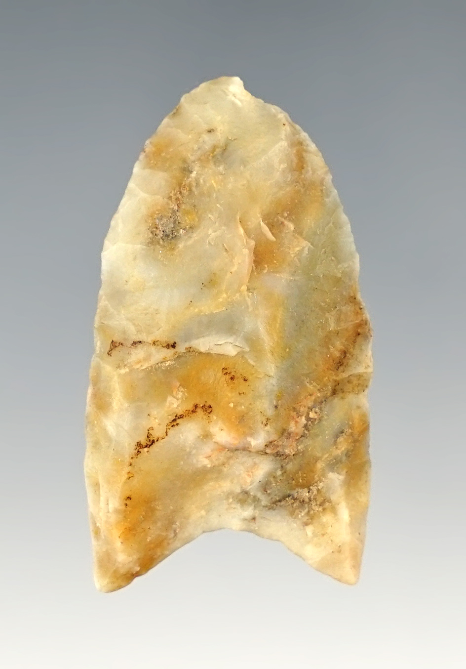 Main artifact image