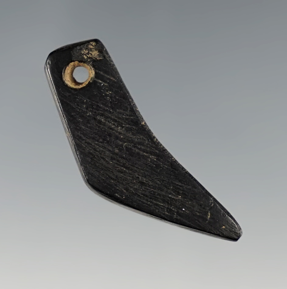1 1/4" Cannel Coal Claw Effigy Pendant - Feurt Site.