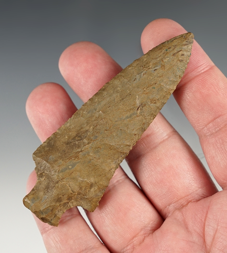 3 1/2" Pickwick found in Stewart Co., Tennessee.