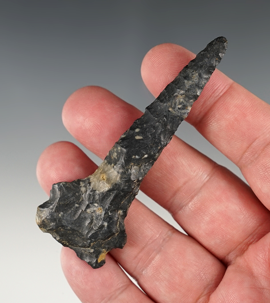 Main artifact image