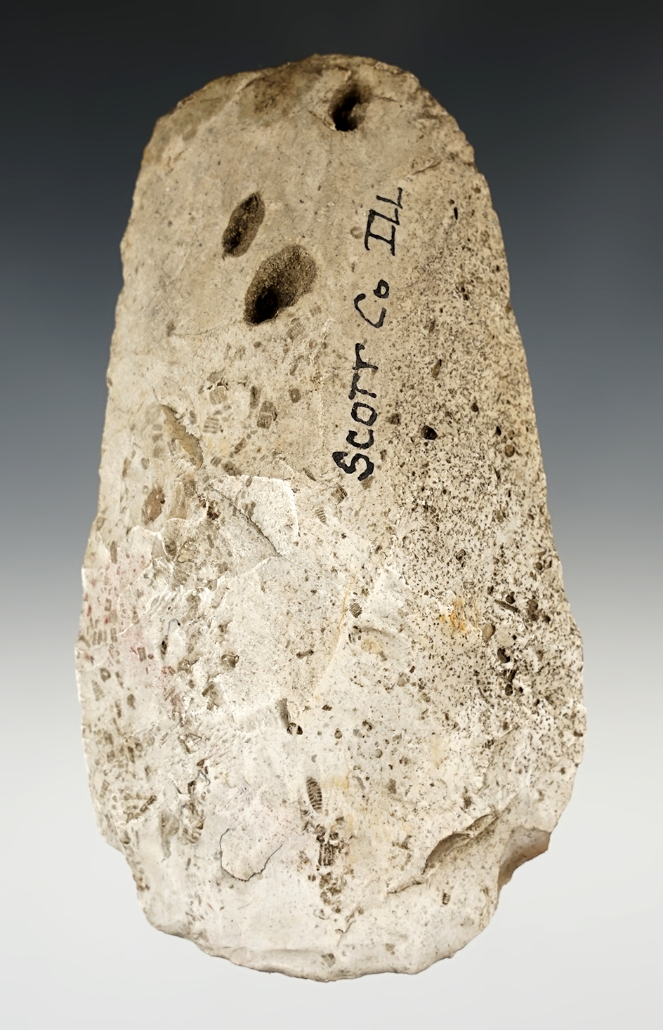 Main artifact image