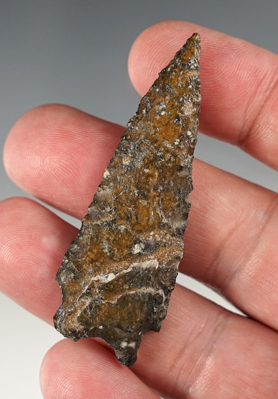 Main artifact image