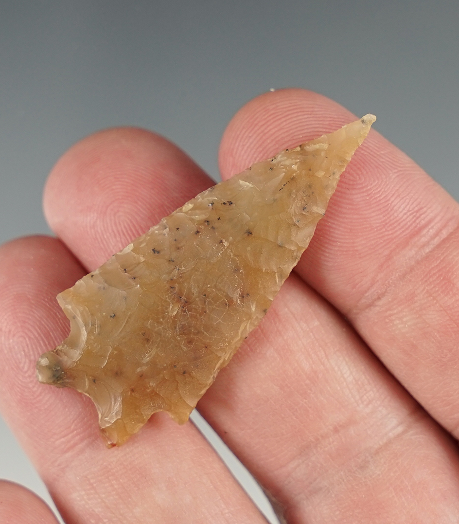 Main artifact image