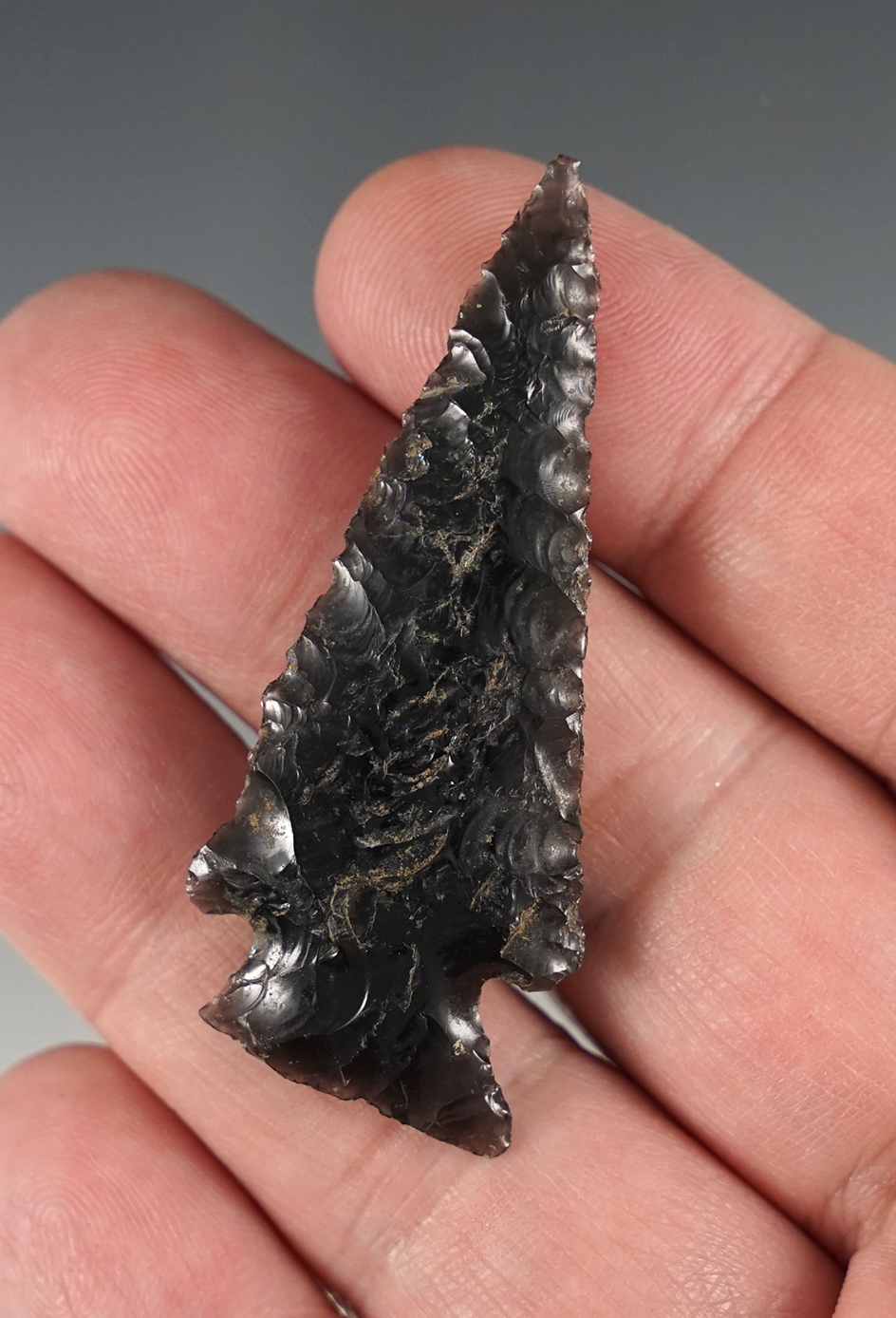 2 1/4" Obsidian Corner Notch - near Columbia River.