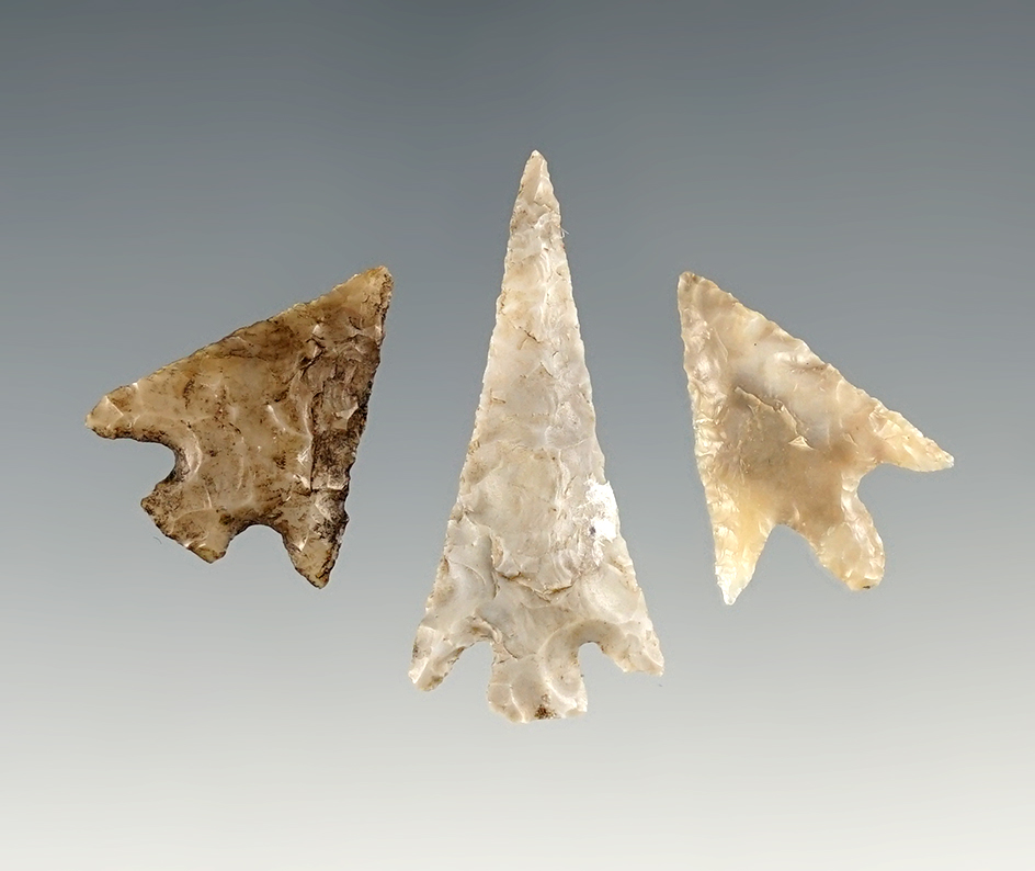 Set of 3 Columbia River Gem points. Largest is 1 1/4".
