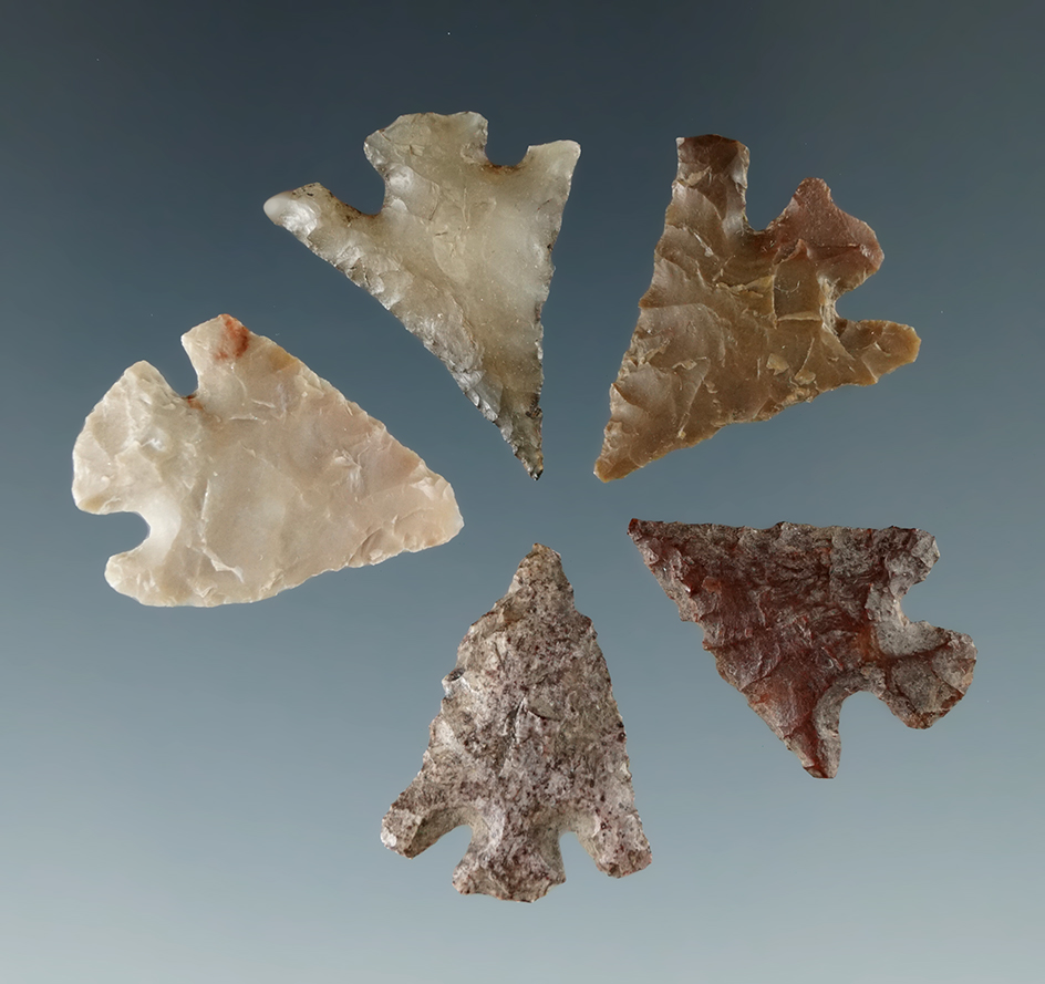 Set of five assorted Columbia River arrowheads, largest is 3/4".