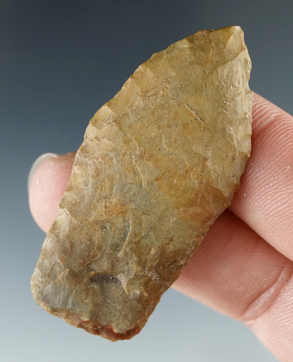 Large for type and exceptional! 2" Paleo Spedis with a heavily ground stem in perfect condition.