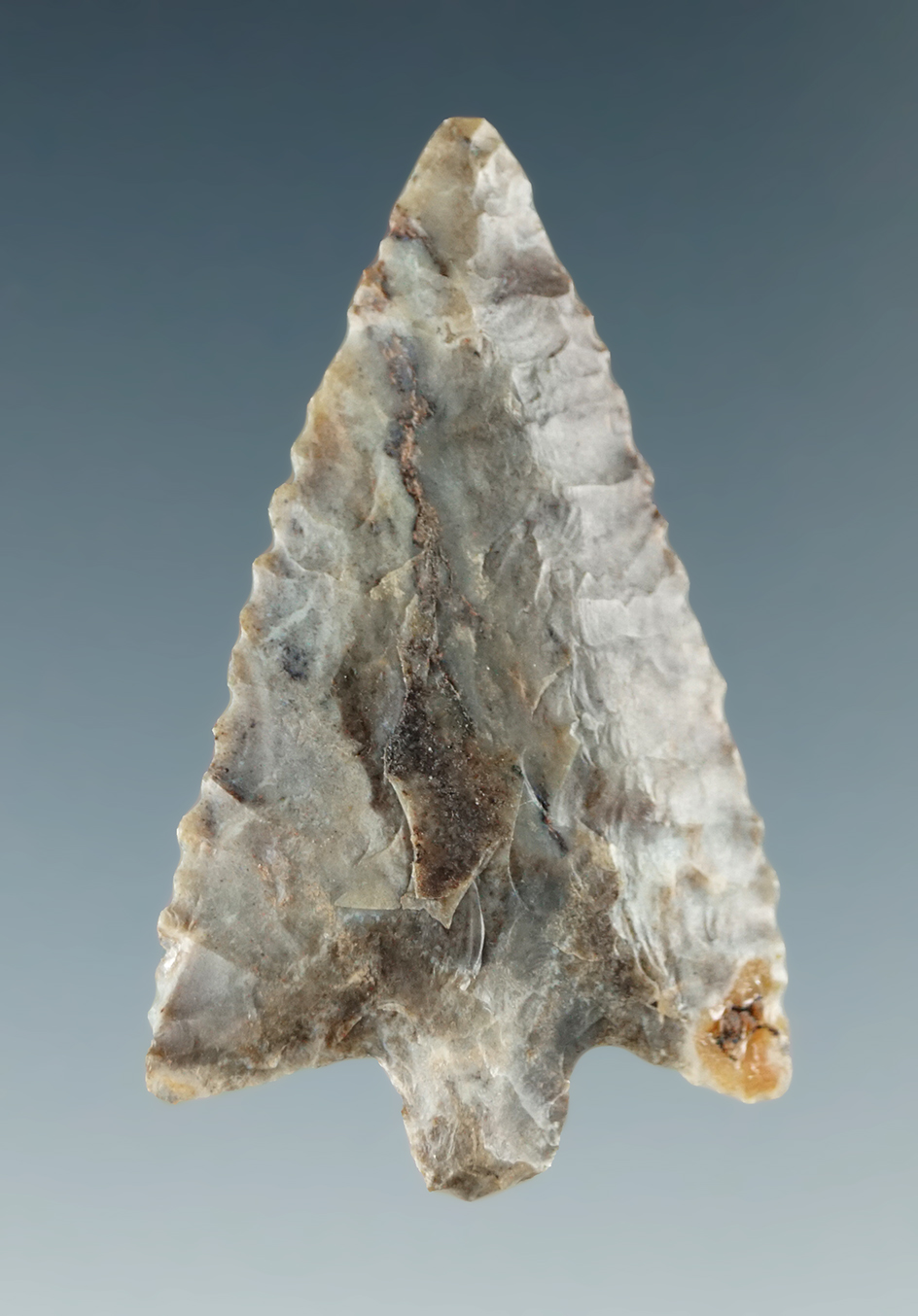 Excellent flaking on this 1 3/8" Walulla made from beautiful material found near the Columbia River.