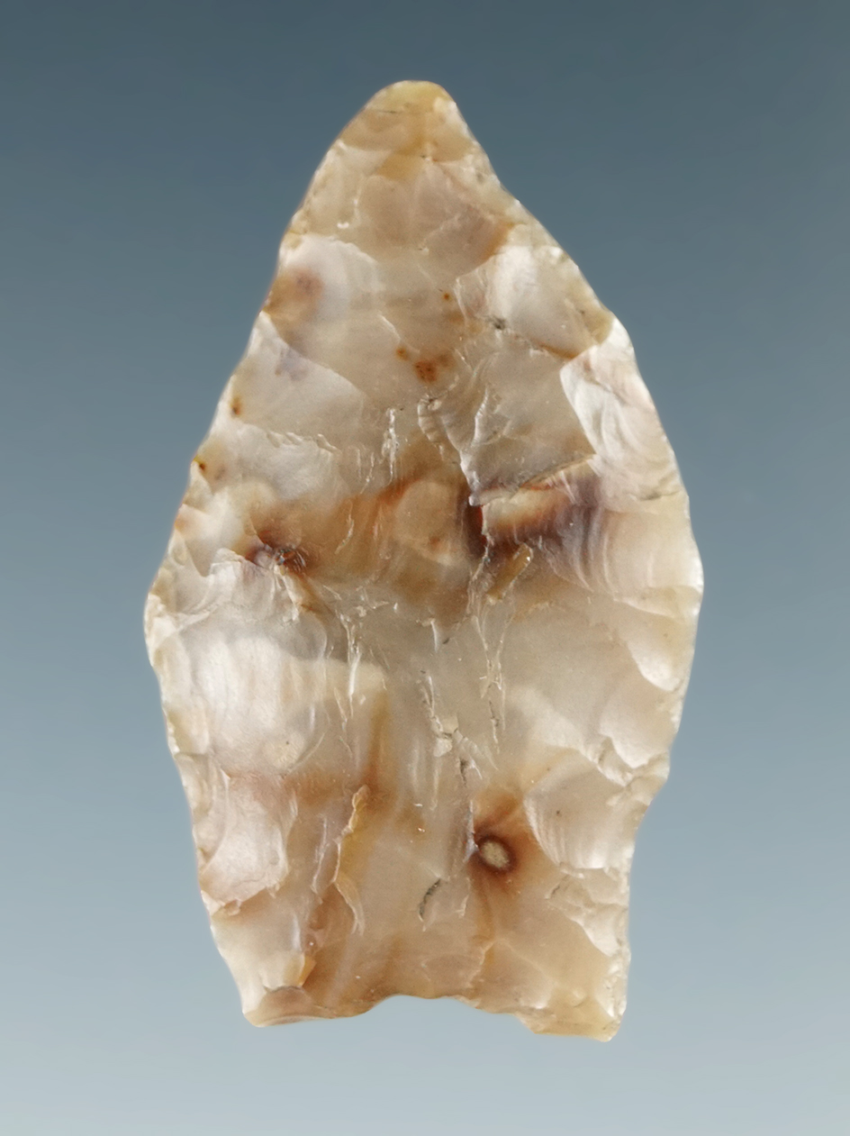 1 1/4" Paleo Spedis made from multicolored Flint found near the Columbia River.