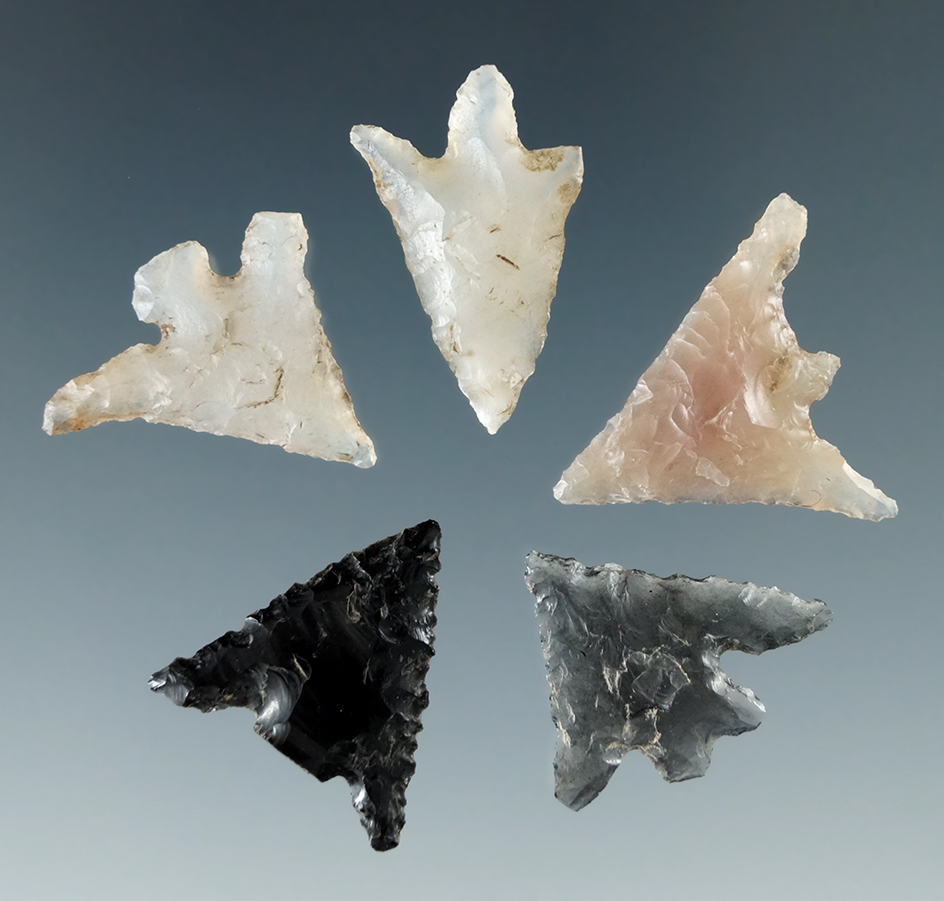 Set of five Columbia River arrowheads, largest is 13/16".