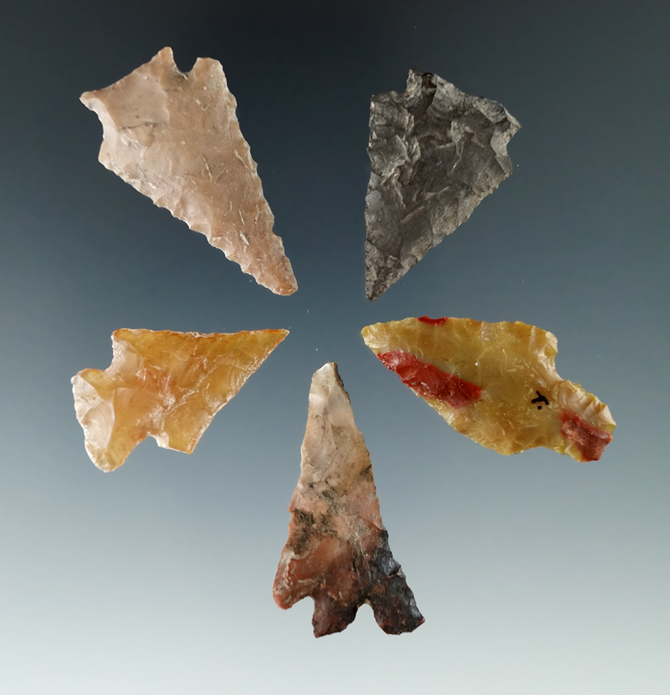Set of five assorted Columbia River arrowheads, largest is 1 3/8".