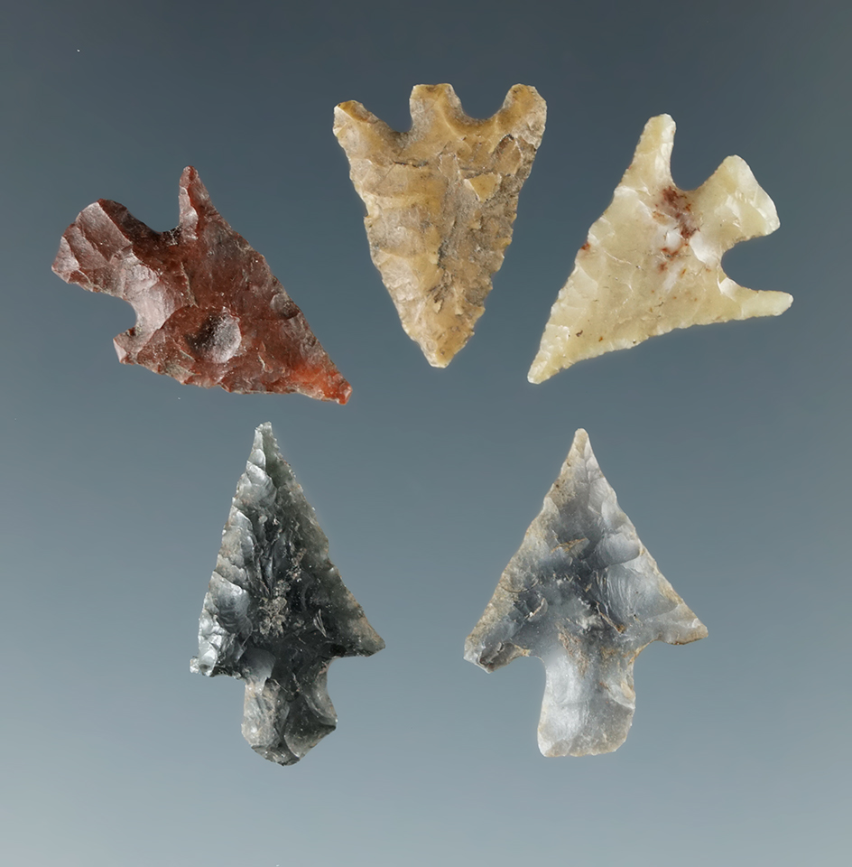 Set of five Columbia River Gem points, largest is 5/8".