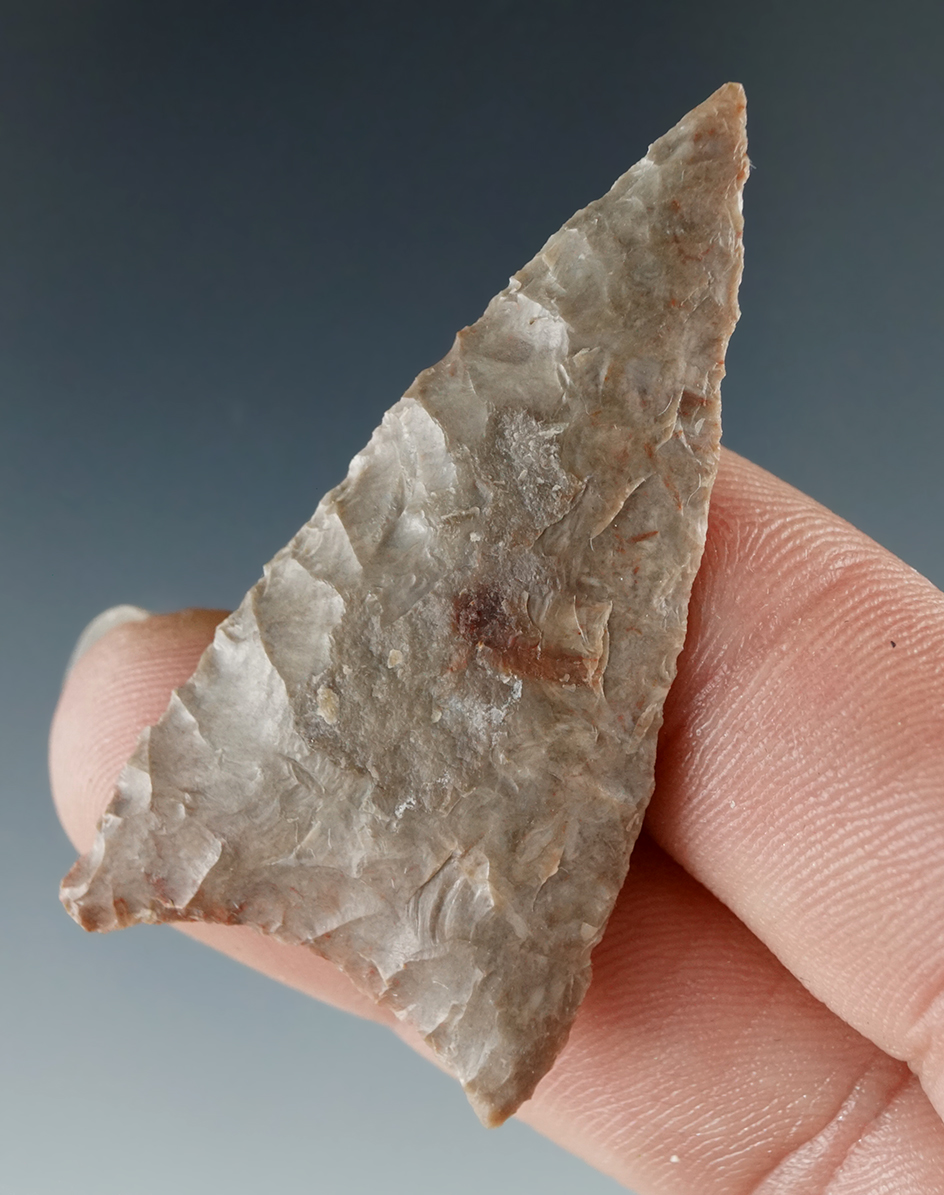 Excellent flaking on this 1 7/8"Atl-atl Valley Triangular found near the Columbia River.