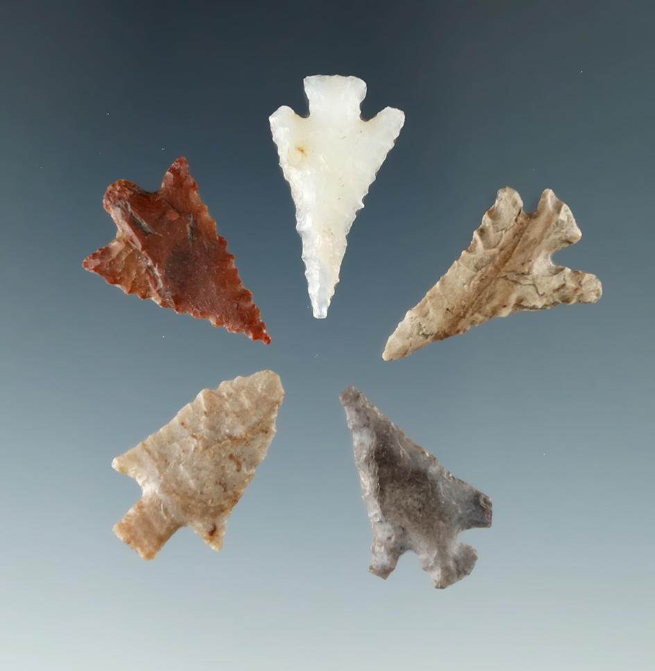 Set of five Columbia River arrowheads, largest is 15/16".