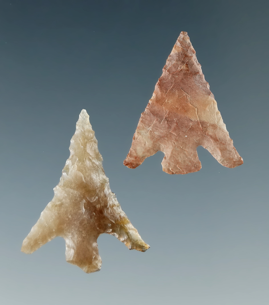 Pair of Columbia Plateau points found near the Columbia River. Largest is 15/16".