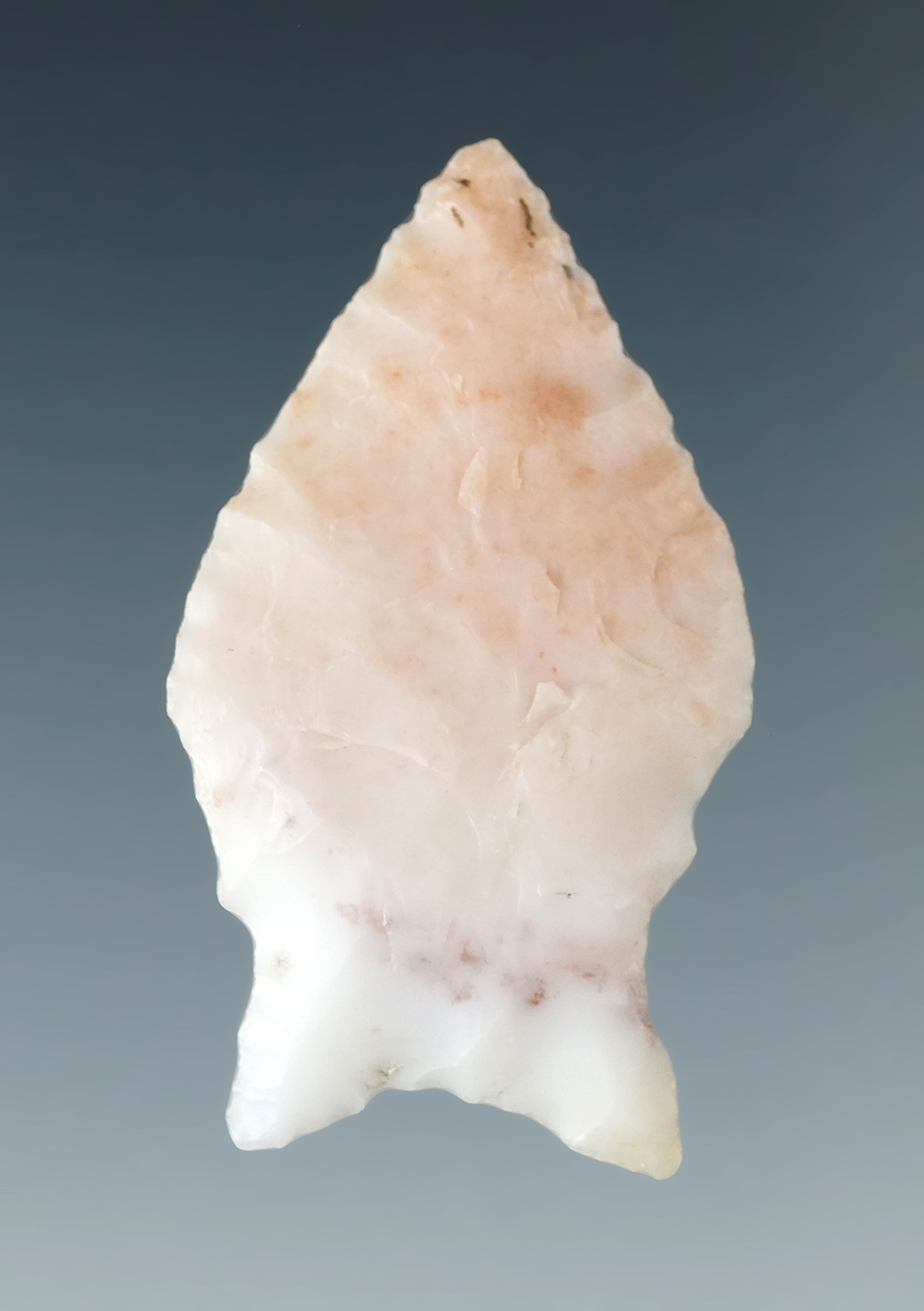 1 3/8" Paleo Spedis fishtail style found in the 1950s near the Columbia River. Ex. Chuck Hall collec