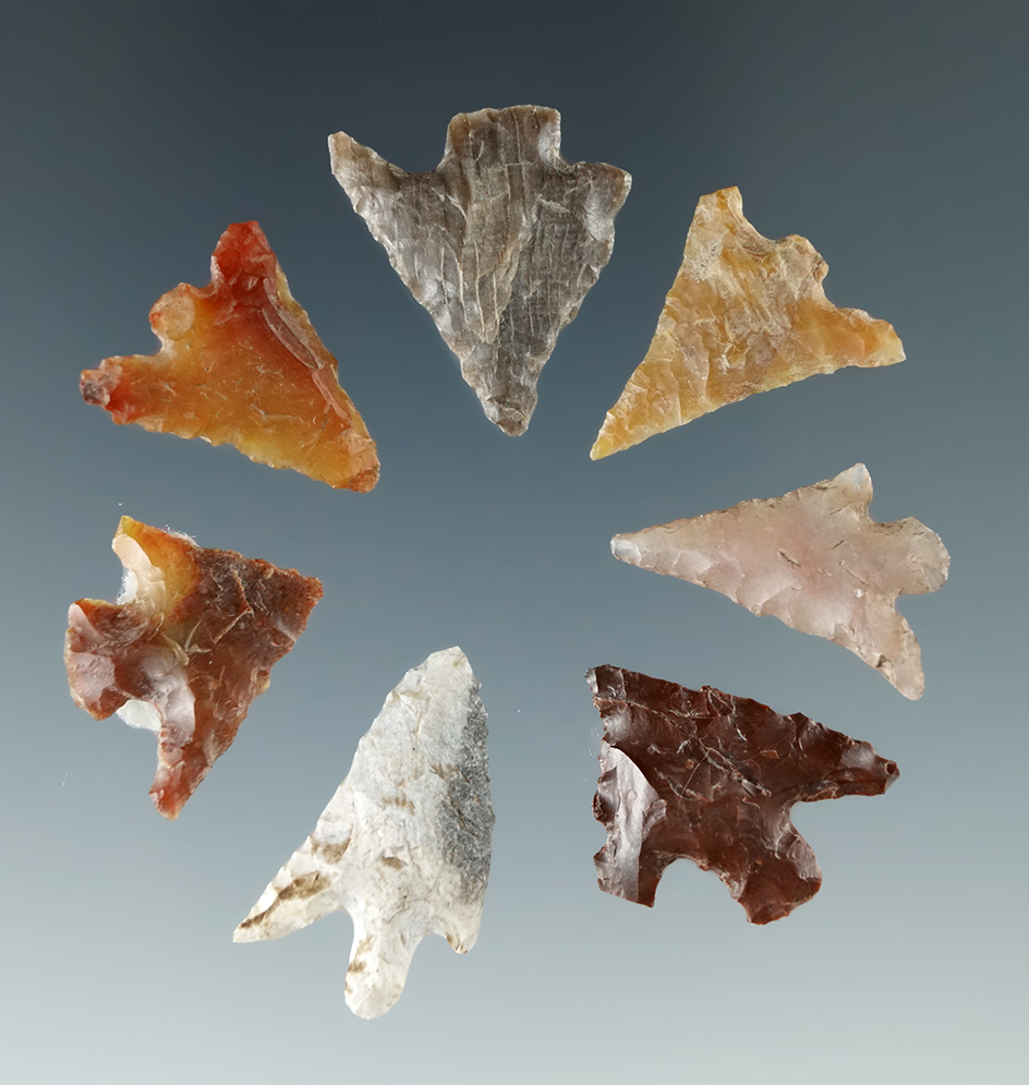 Set of seven assorted Columbia River Gem points, largest is 7/8".