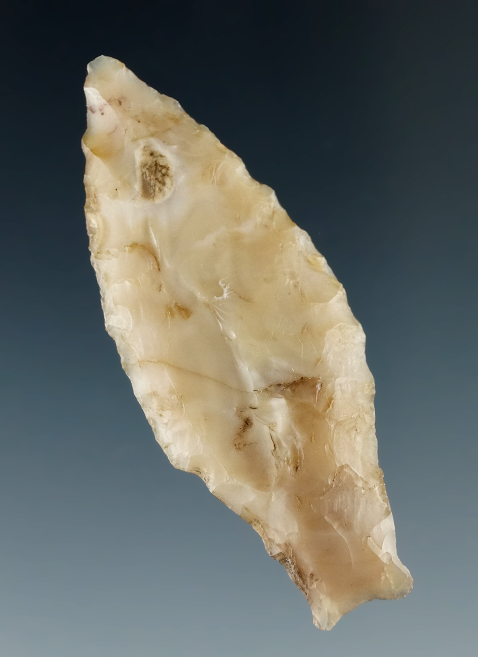 Nice example! 2" fishtail Paleo Spedis which is large for type found near the mid-Columbia River. .