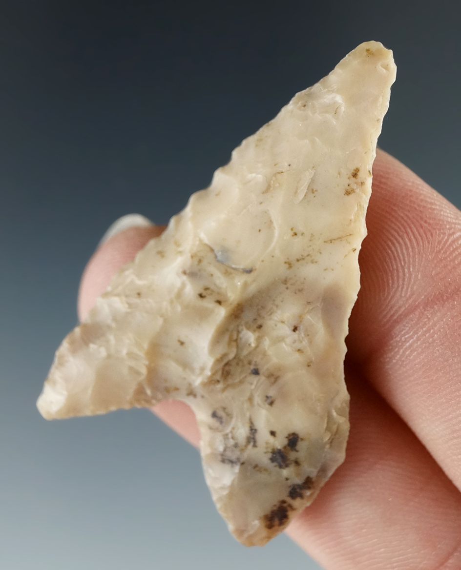 1 13/16" Columbia Mule Ear Knife that is nicely beveled found near the Columbia River.