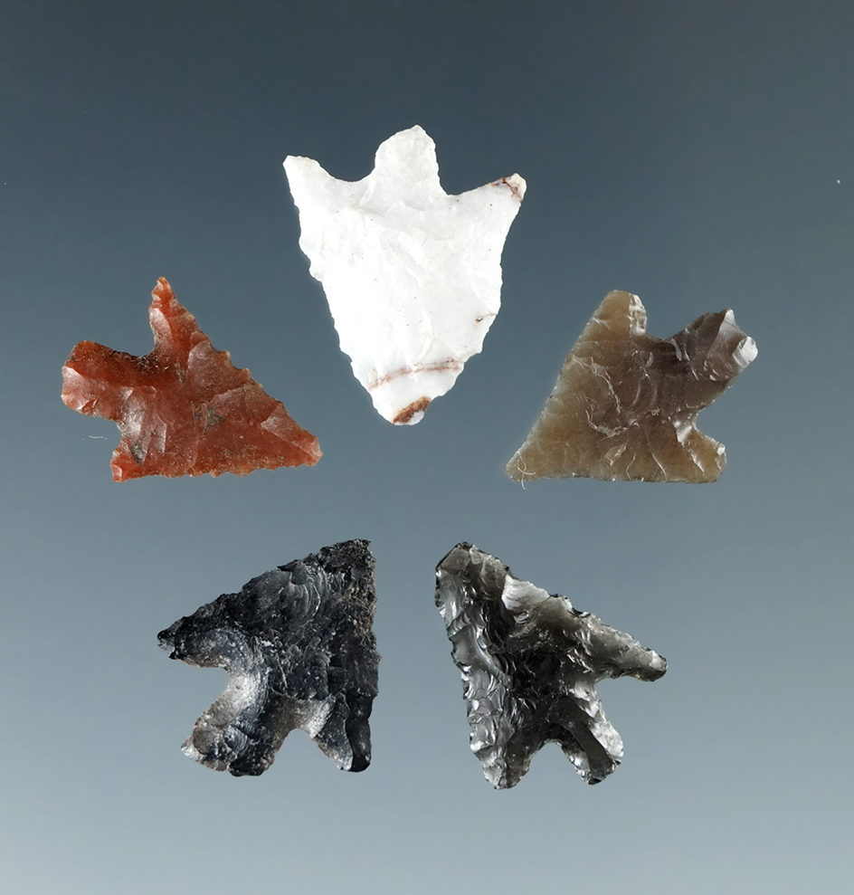 Set of five small Columbia River Gem points, largest is 5/8".