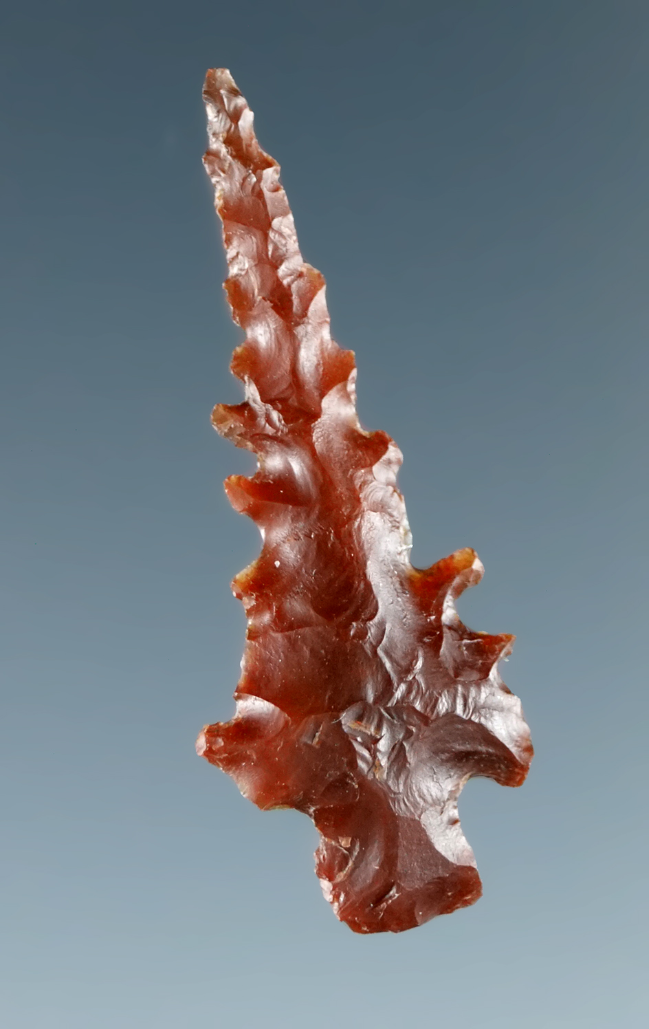 Nice! Incredible serrations on this 1 1/8" Calipooya made from attractive red agate -  Oregon.