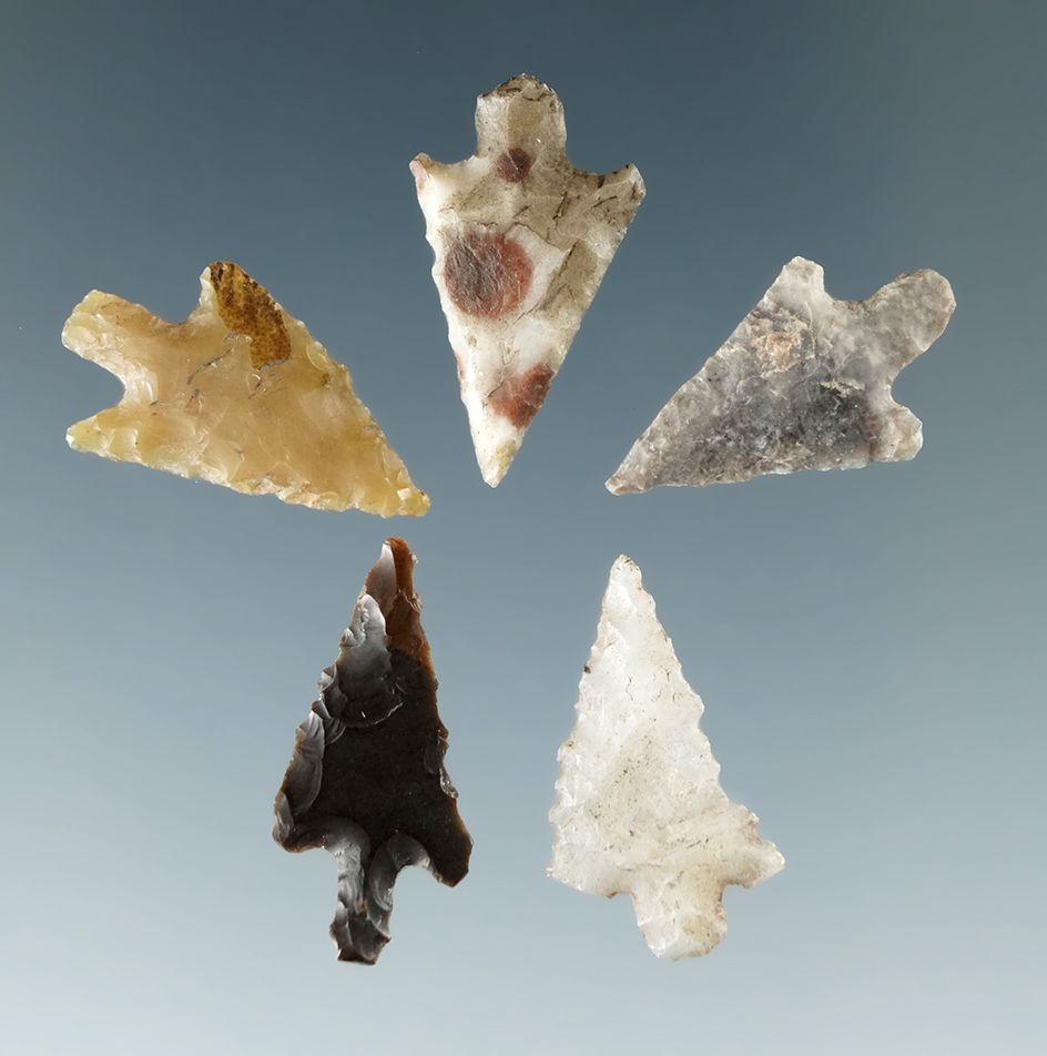 Set of five Columbia River arrowheads, largest is 3/4".