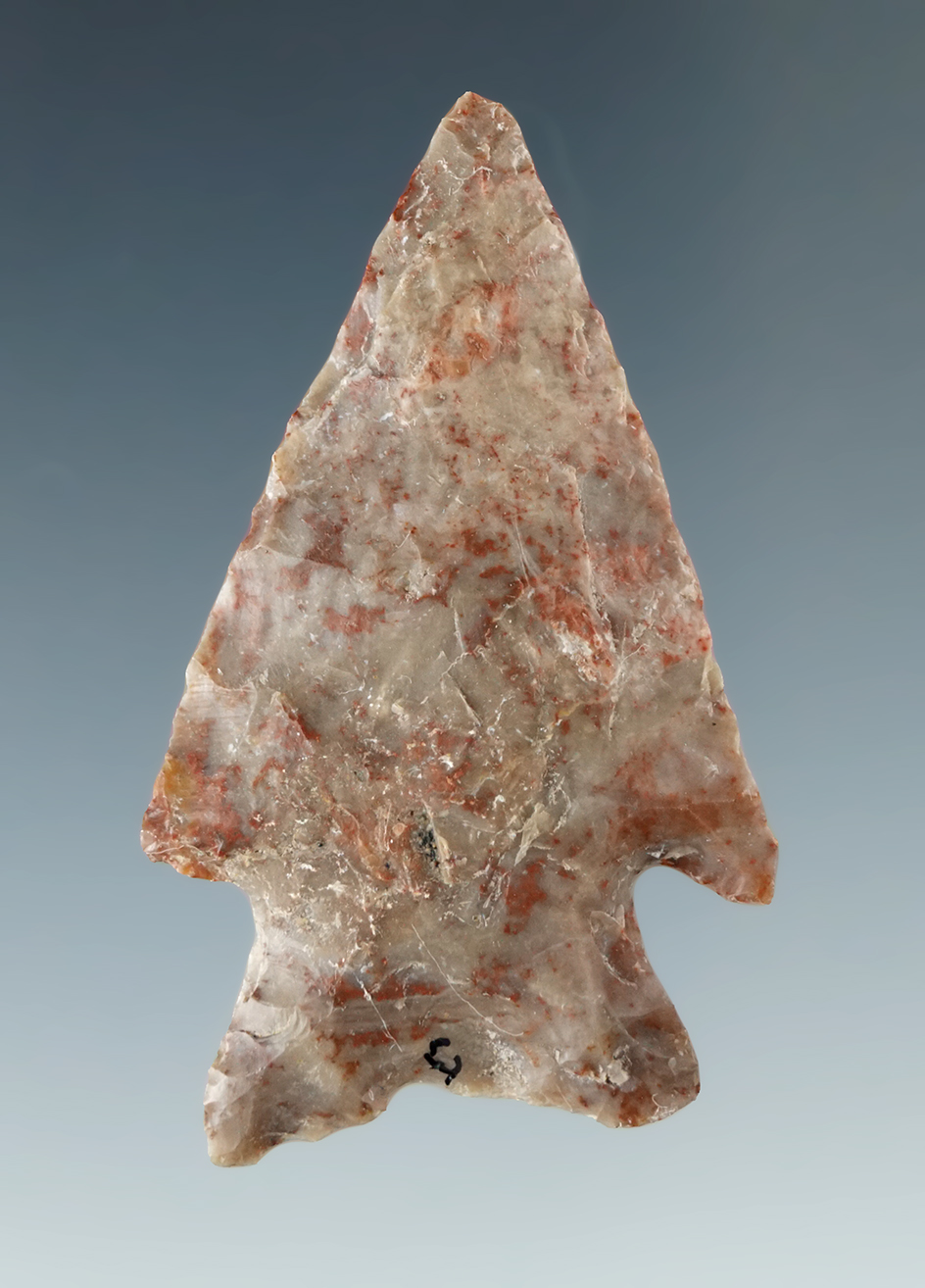 Large 1 13/16" Snake River dart point made from attractive material found near the mid-Columbia.