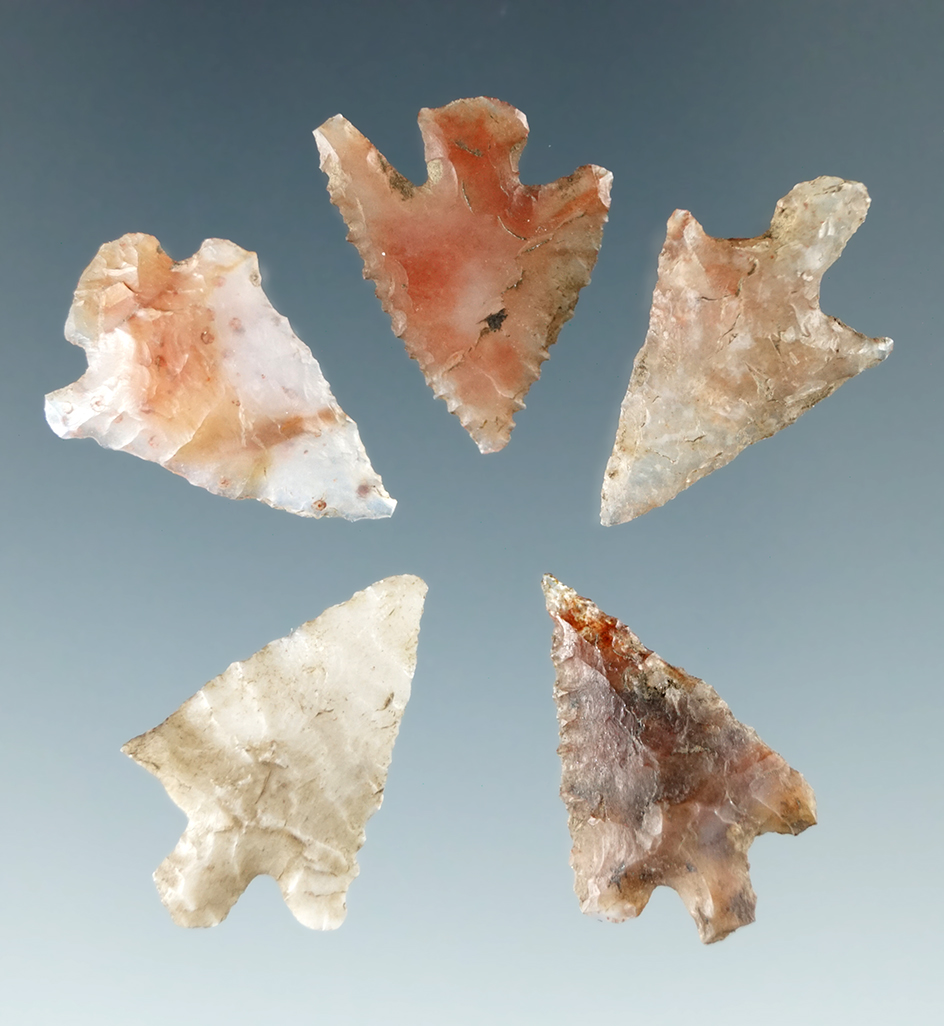 Set of five Columbia River Gem points made from attractive material, largest is 13/16".