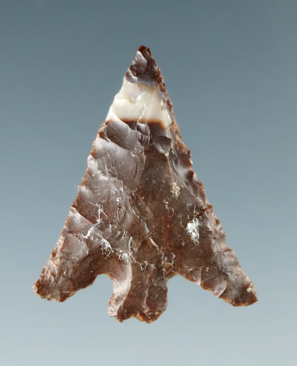 15/16" Columbia Plateau that is nicely flaked from brown and white Jasper - Columbia River.