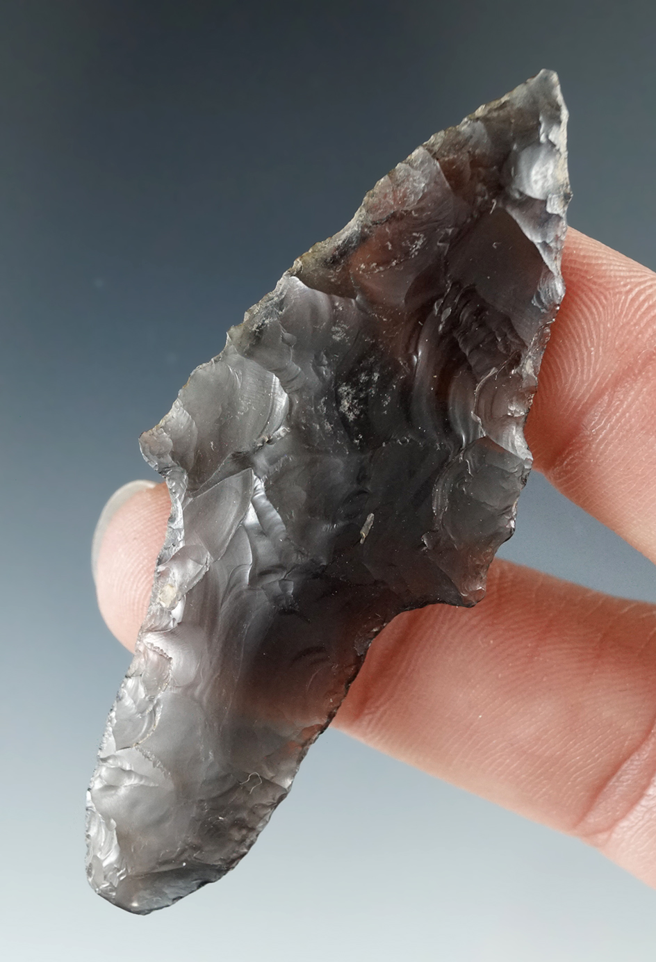 Nice & Rare example! 2 5/8" Paleo Cougar Mountain - heavily ground stem found in Lake County OR.