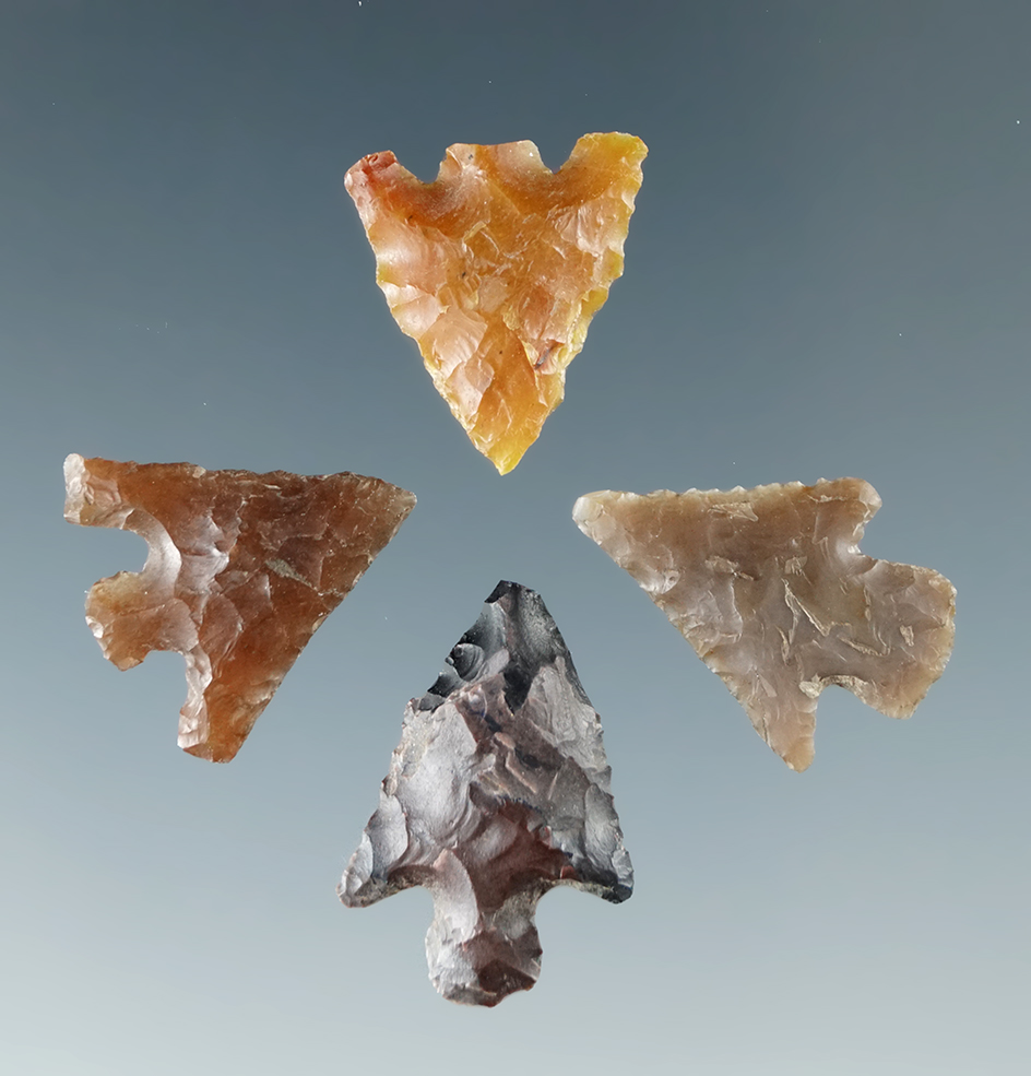 Set of four Columbia River arrowheads, largest is 3/4".