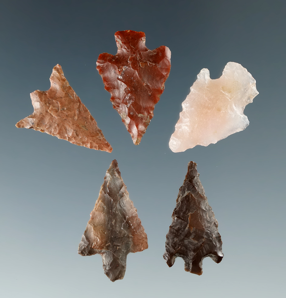 Set of five assorted Columbia River Gem points, Largest is 13/16".