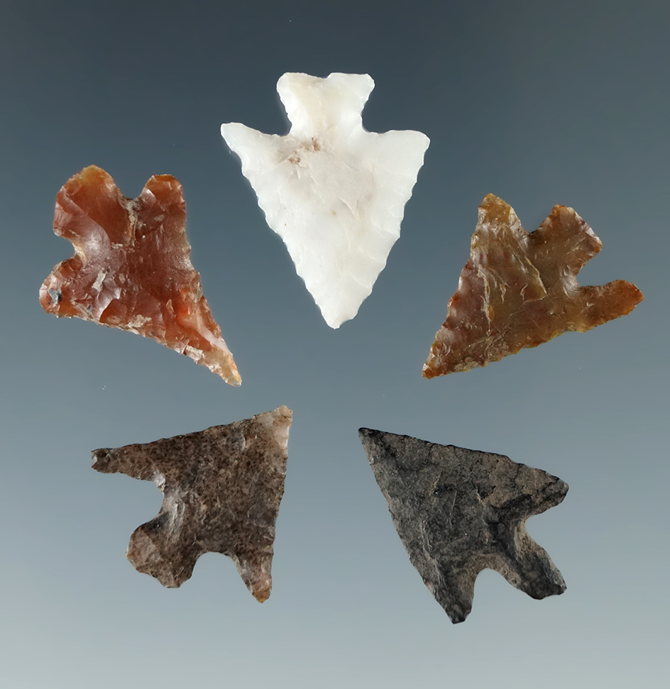 Set of five Columbia River Gem points, largest is 3/4".
